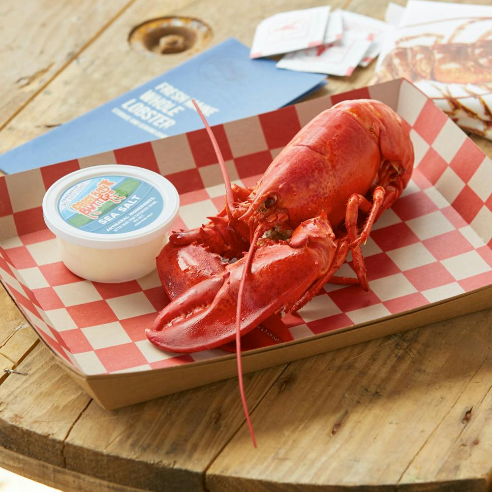 1-lb-lobster.58ef10ffa469aad9d1a058d3c4767cd4