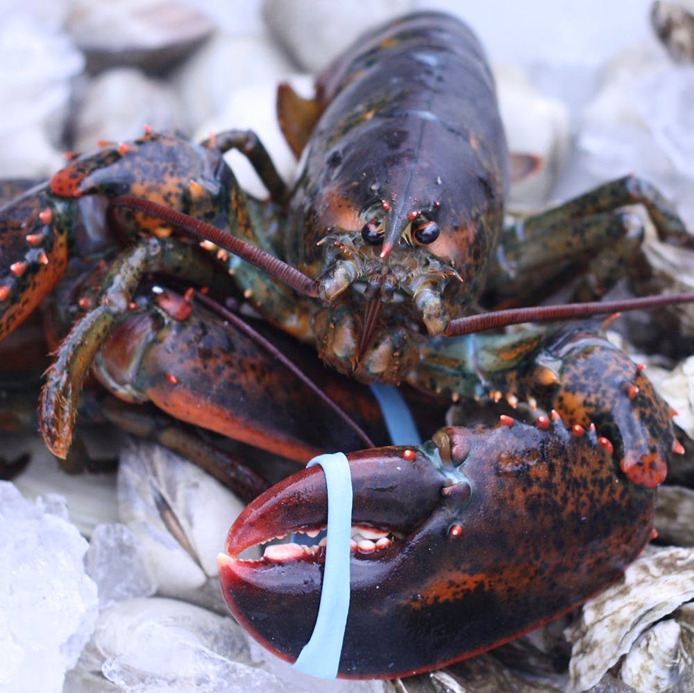 15-lb-lobsters-2-pack.611b3070c5f6dffa277c93bd5d283c94