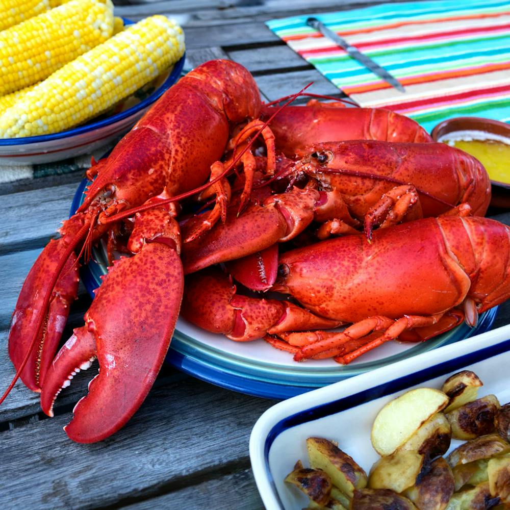 A_la_carte_Live_Maine_Lobsters_1-1