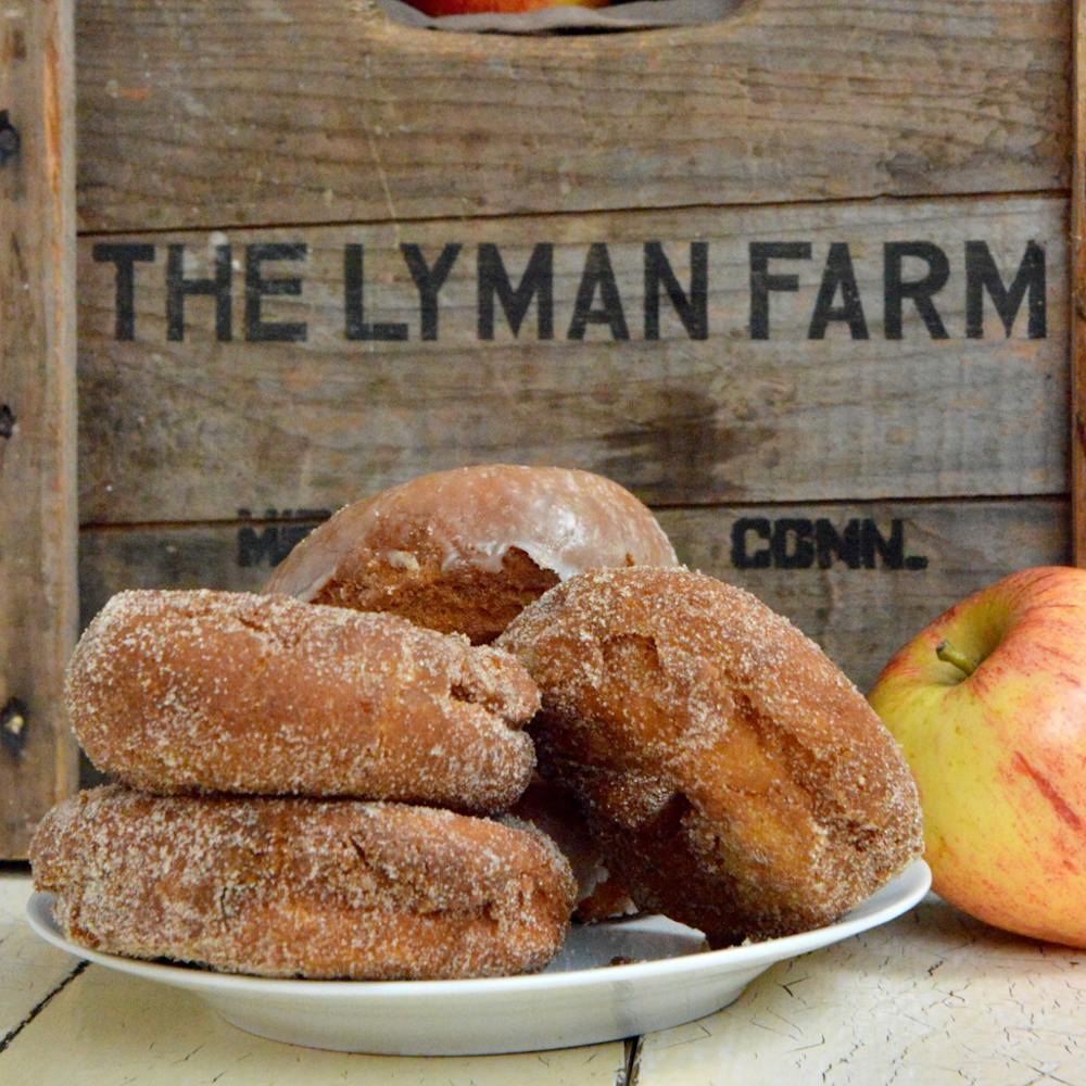 Apple_Cider_Donuts__2_