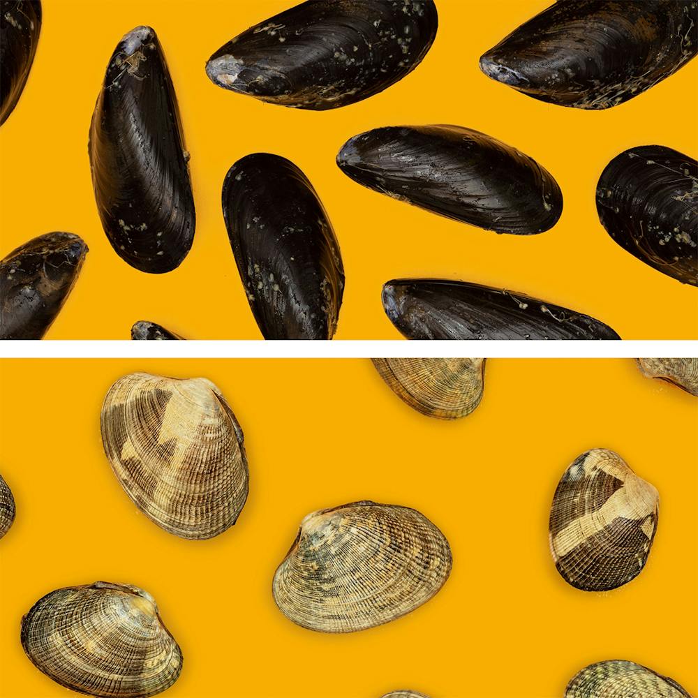Aqua-Best-Clams-Mussels-CYO