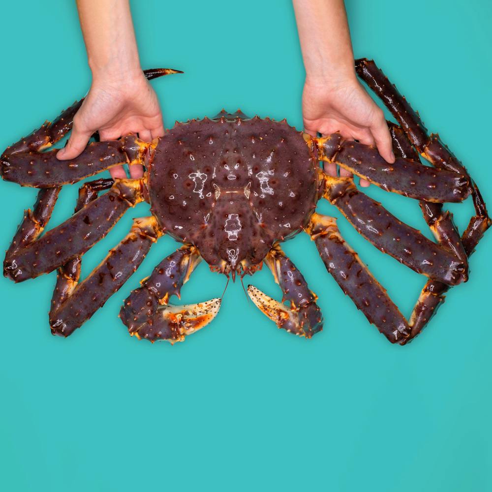 Aqua-Best-Crab-Legs