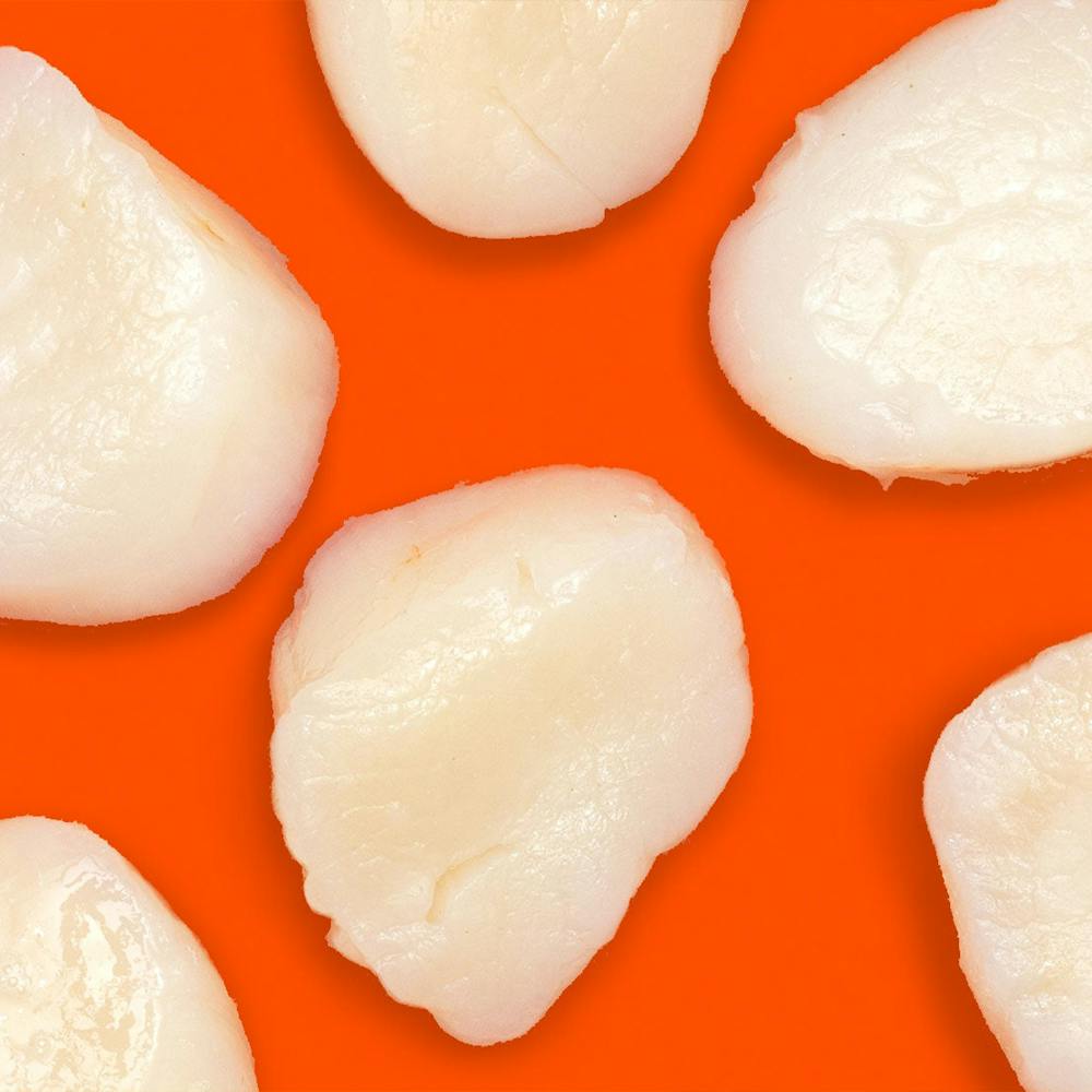 Aqua-Best-Scallops