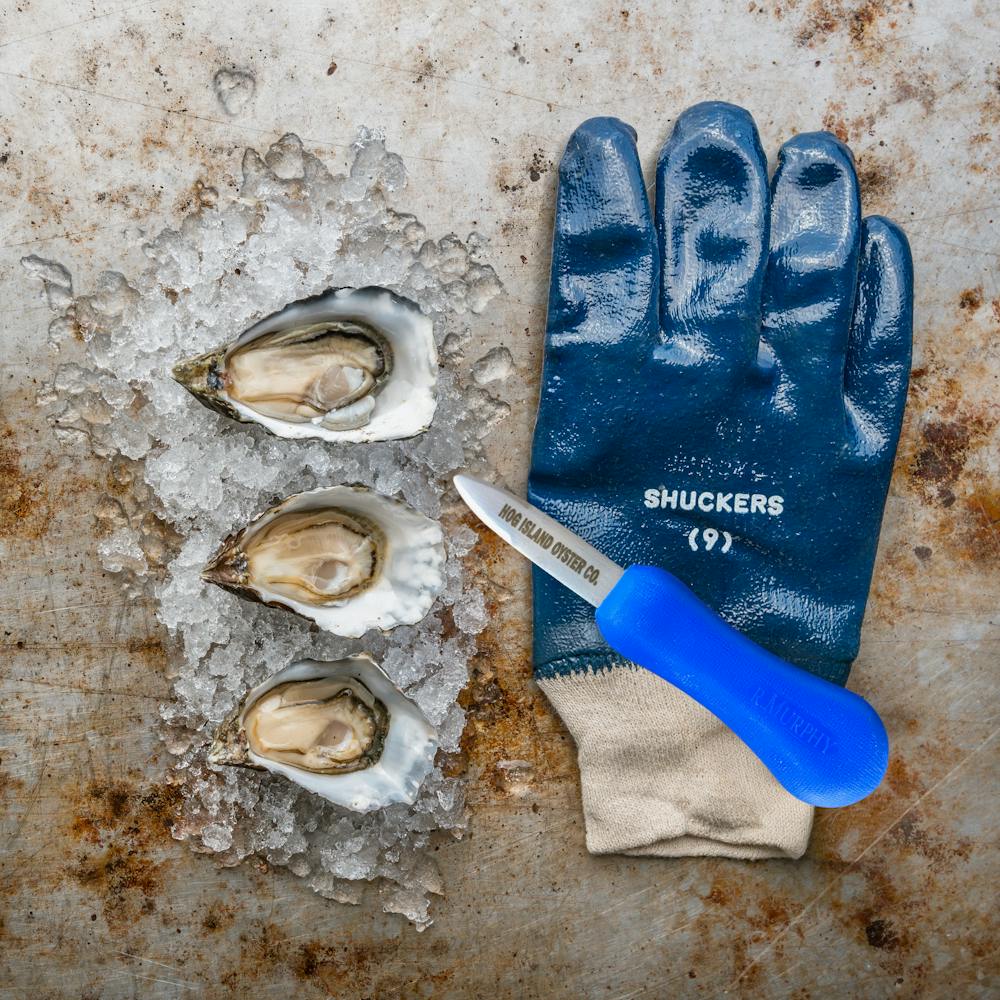 Beginners_Shucking_Kit_Hog_Island_0055