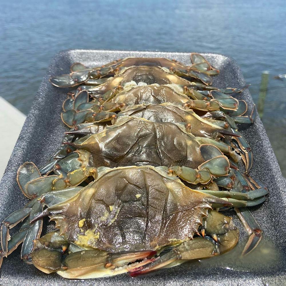 HarrisCrabHouse-Prime-Soft-Crabs-Product-2