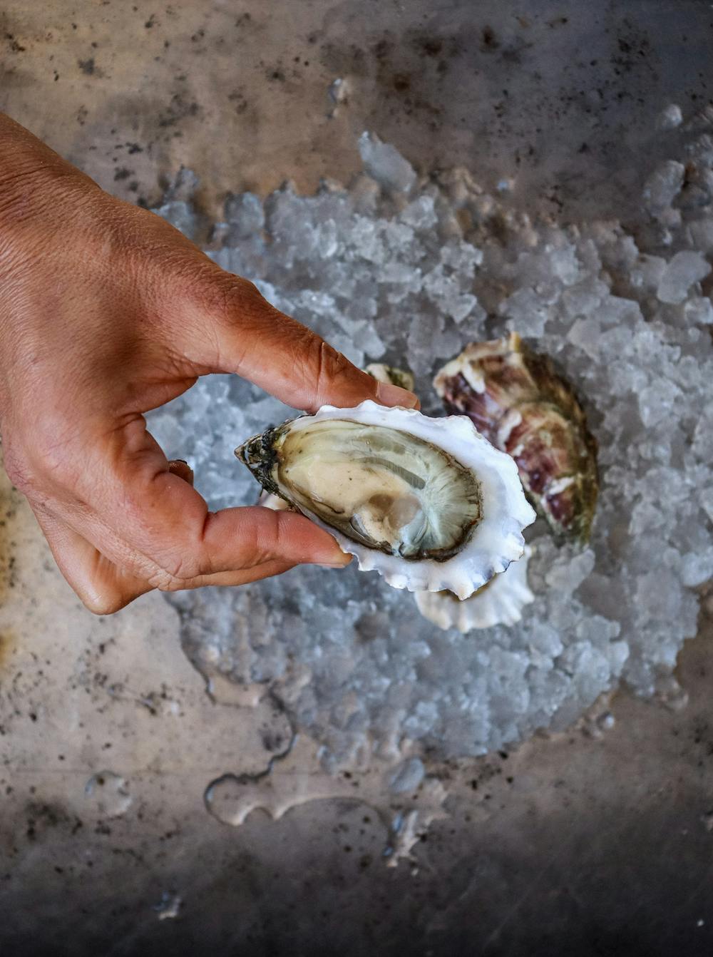 Highwater_Extra_Small_Oysters_Hog_Island_3269