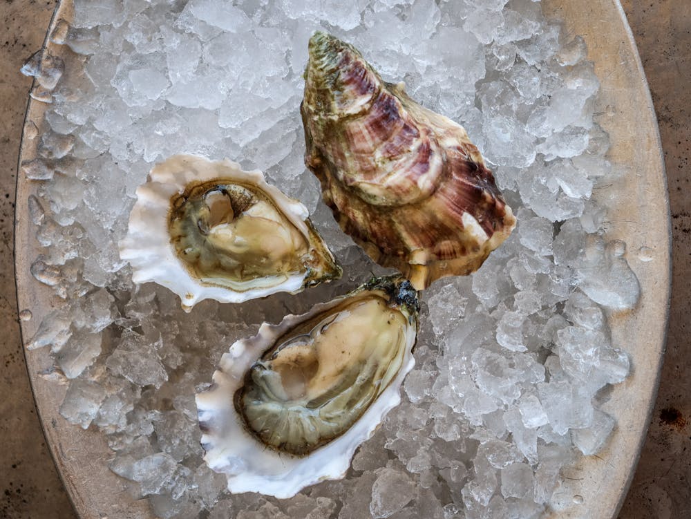 Highwater_Small_Oysters_Hog_Island_3283