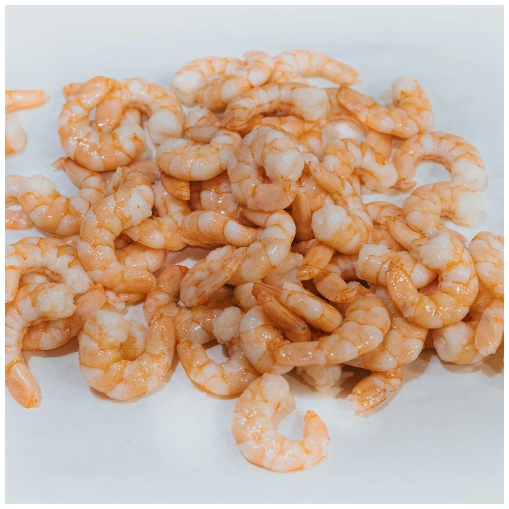 Main_Shrimp