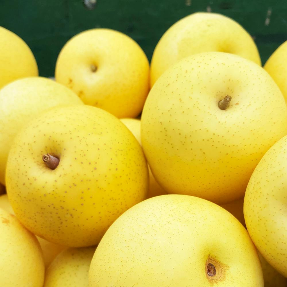 Subarashi-New-Pear-Asian-Pear-Gift-Box-1