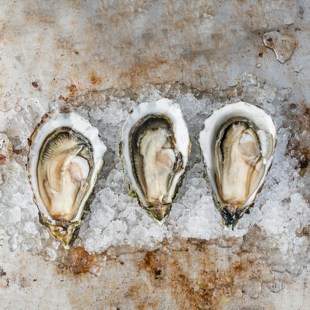 Sweetwaters_Small_Oysters_Hog_Island_0062