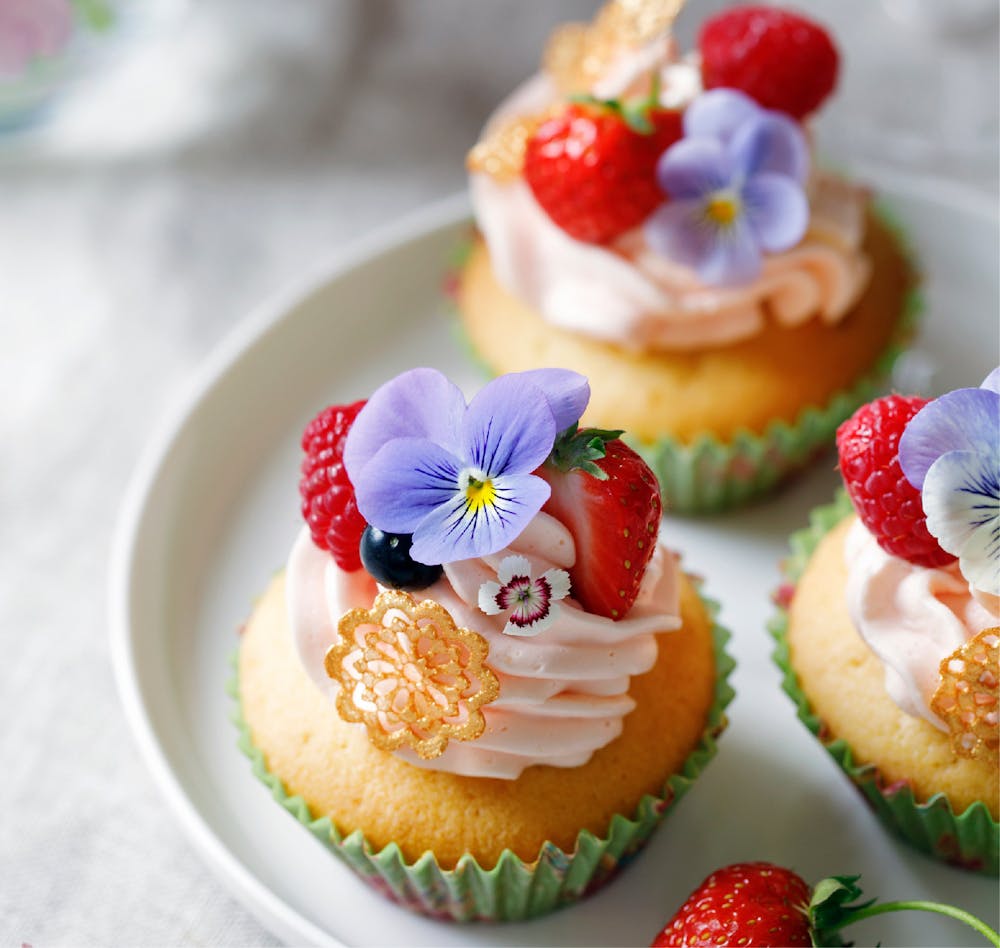 Vanilla_Cupcake