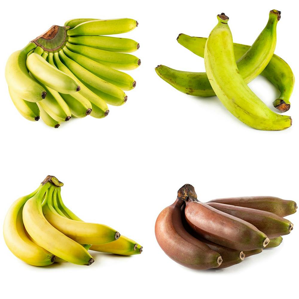 banana-sampler.16a17970188844f872d0848ac5bab46d