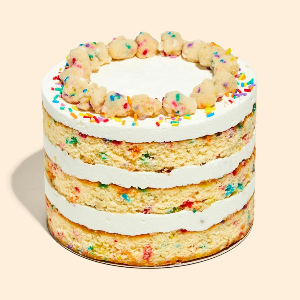 cake1_copy