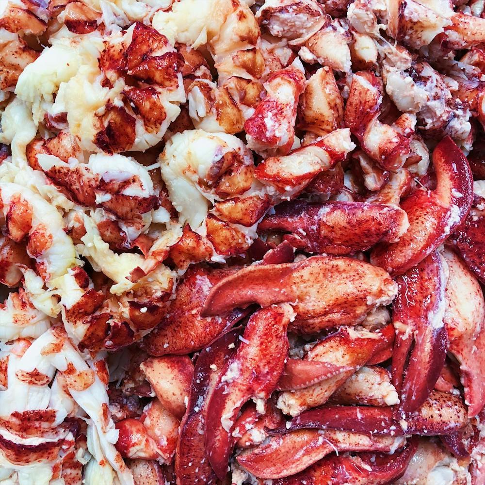 fresh-picked-lobster-meat.b2c3d1002f252b3f8814a074e48b6939