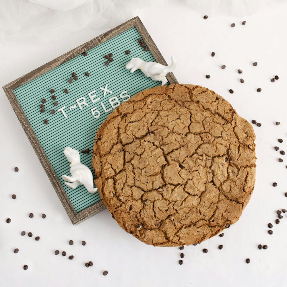 giant-5lb-chocolate-chip-cookie.86a18c957ef4495d98517970c3887da0