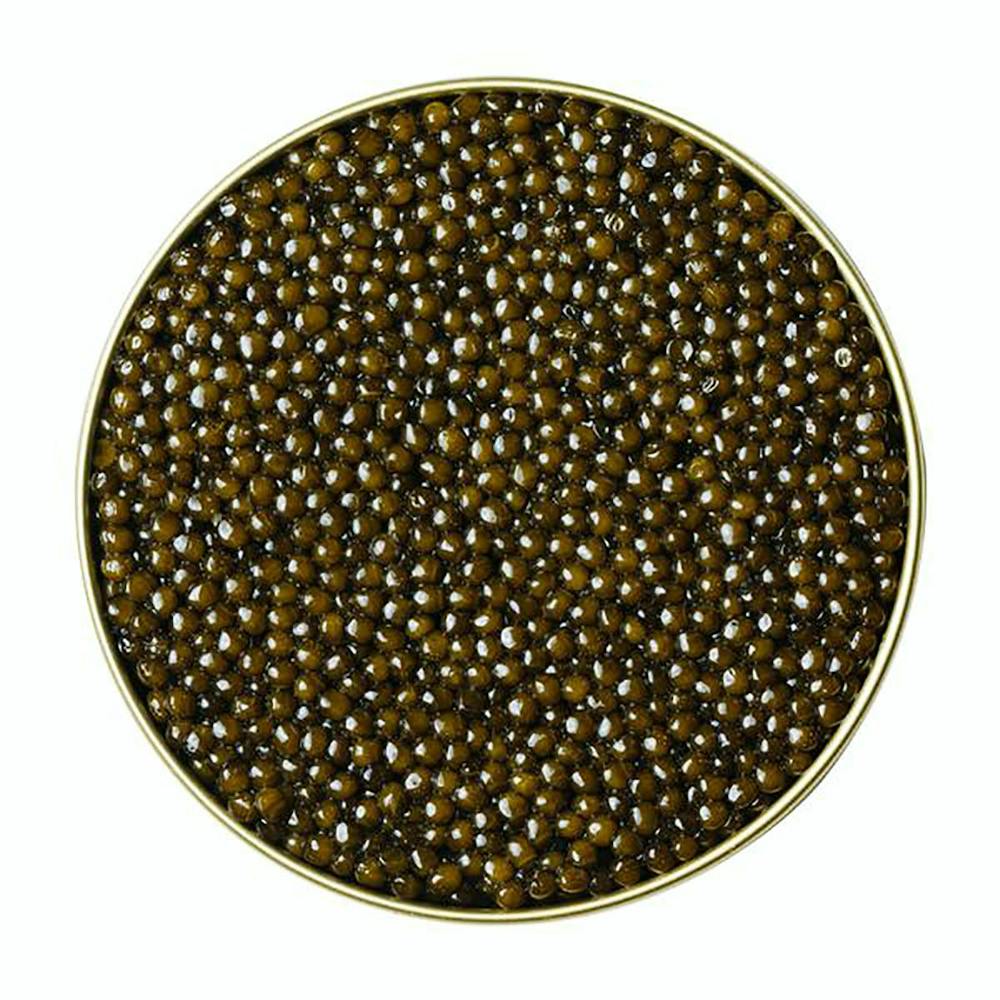 hybrid-caviar.ea6614531589cfe5a3543694f44268c3