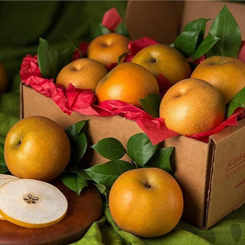 junosan-asian-pear-gift-box-small.dd0f30d73f278bb590ba53cc9084dfb8