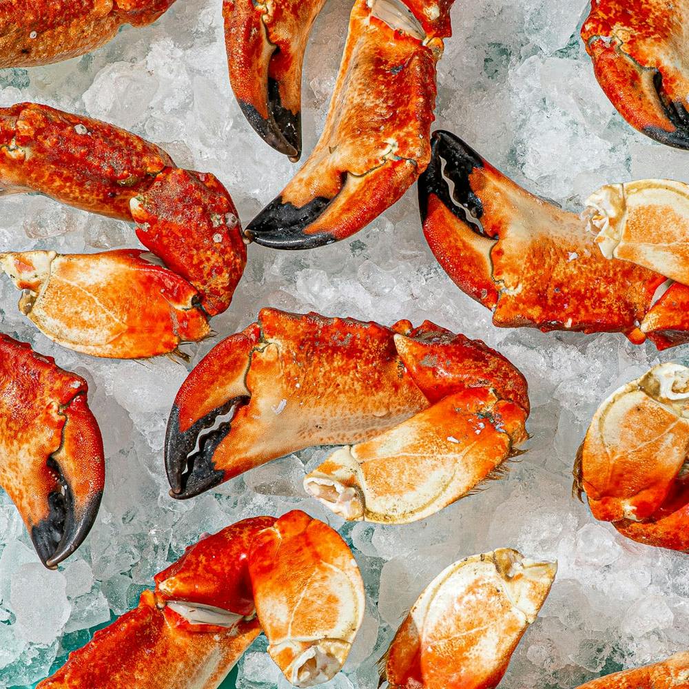 large-pacific-red-stone-crab-claws.fc0b35273064e473f1d30bdd90cd38a1