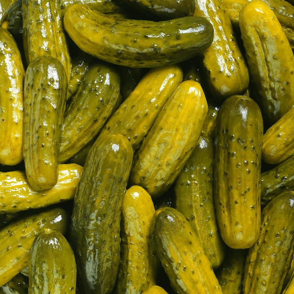 ny-sour-pickles-1-gallon.ffc0f44a0be85000ee4399f282cd751c