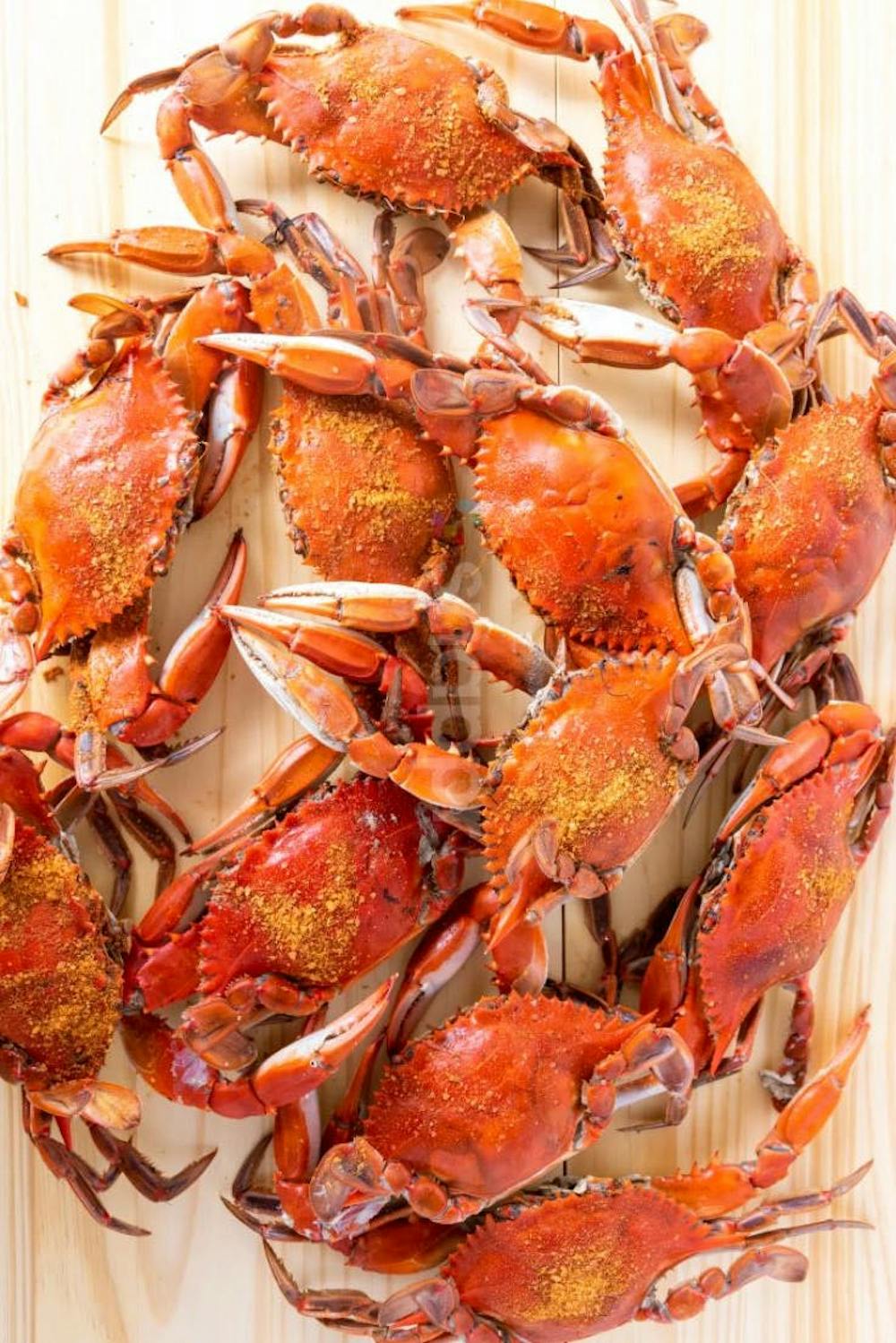 obrycki-s-premium-hardshell-crabs.937a65cfc88e6df29465fcc76629bfc8