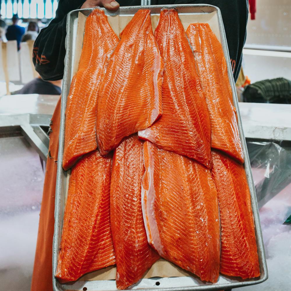 sockeye_new_