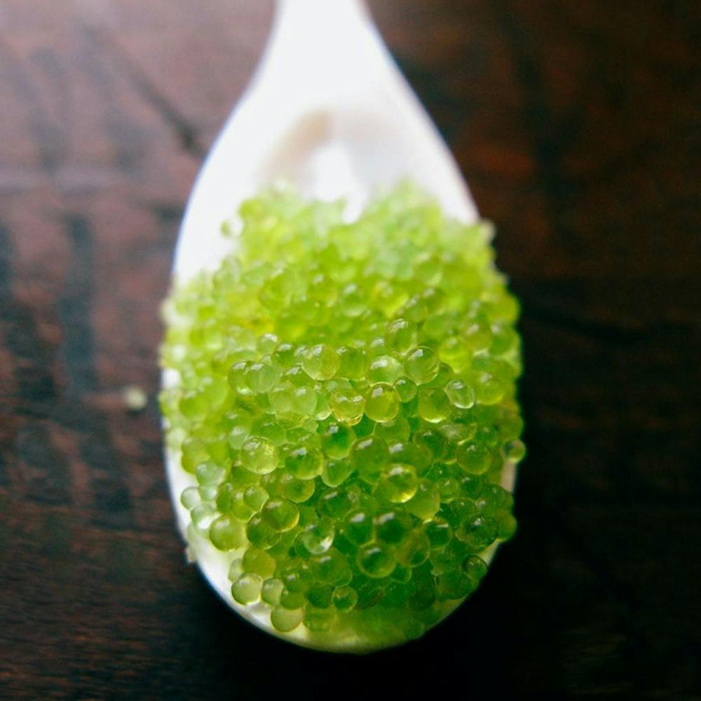 wasabi-infused-flying-fish-roe.d3c14fefa1d51b3f3de2896ffcd66422
